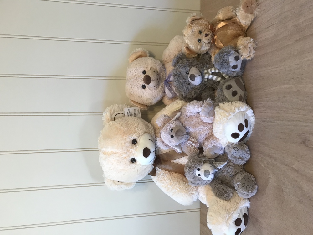 Teddy Small